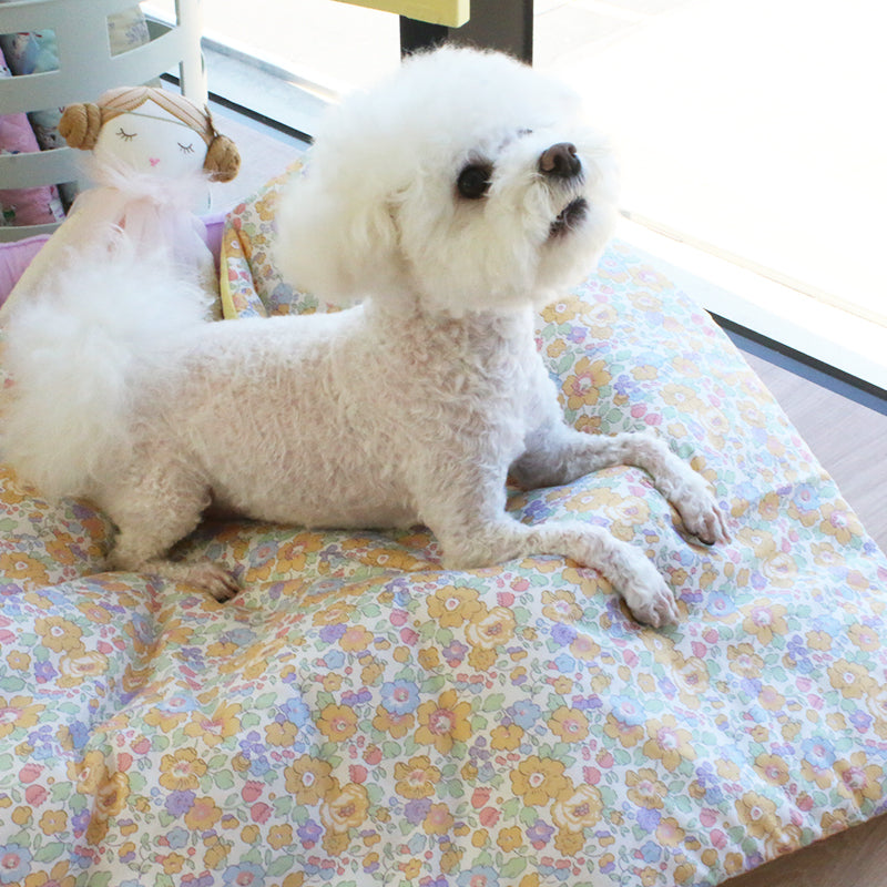 即納【OOPS! MY DOG】Liberty London x Oops! my Dog