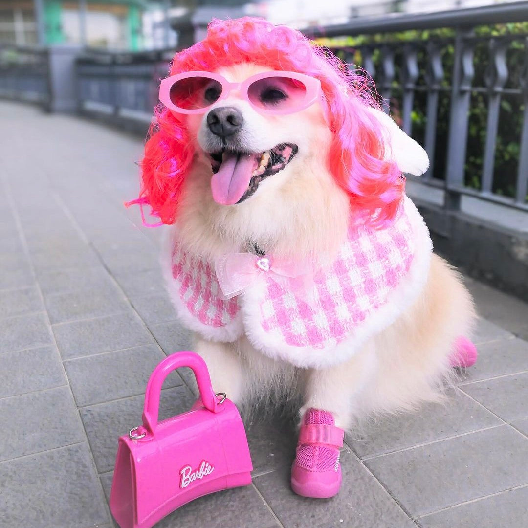 海外犬服 高品質なインポートのドッグウェア通販 