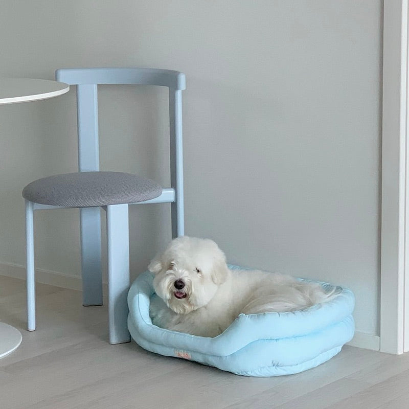 ※予約販売【OOPS! MY DOG】Bonjour Neon Pop Basket