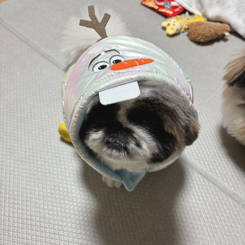 可愛すぎるウチの子オラフ | #2154634