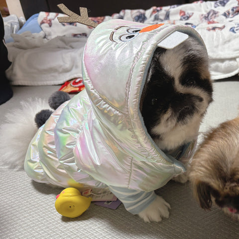 可愛すぎるウチの子オラフ | #2154634