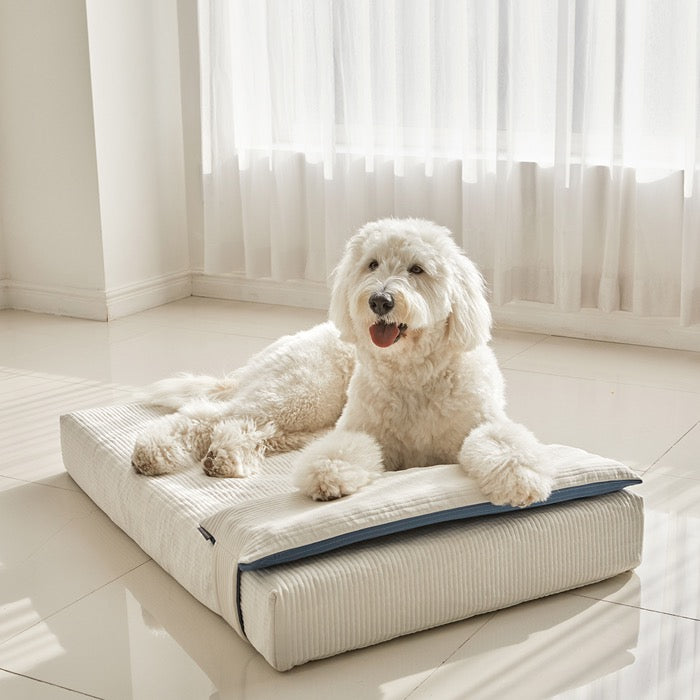 ※予約販売【BARBICHON】Allergy care topper mat（Ivory）L size Big Dog【Pillow Set(Ivory/Navy)】