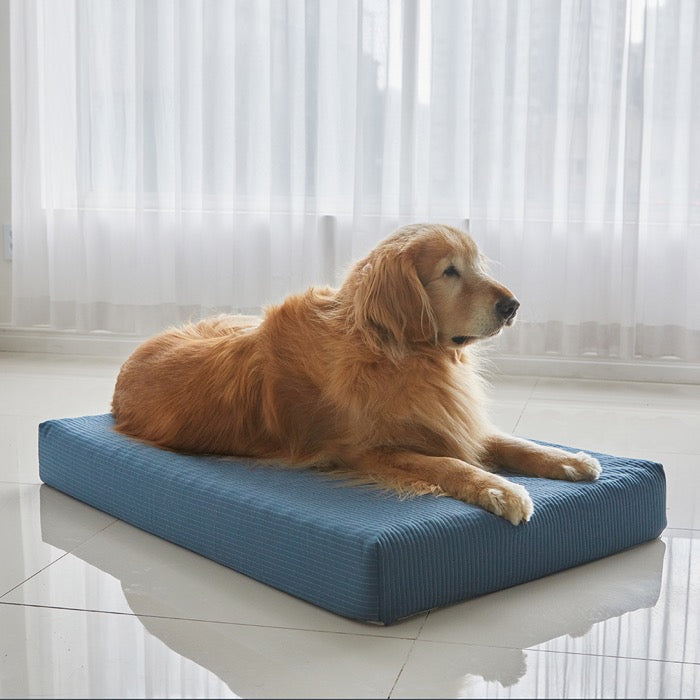 ※予約販売【BARBICHON】Allergy care topper mat（Navy）L size Big Dog
