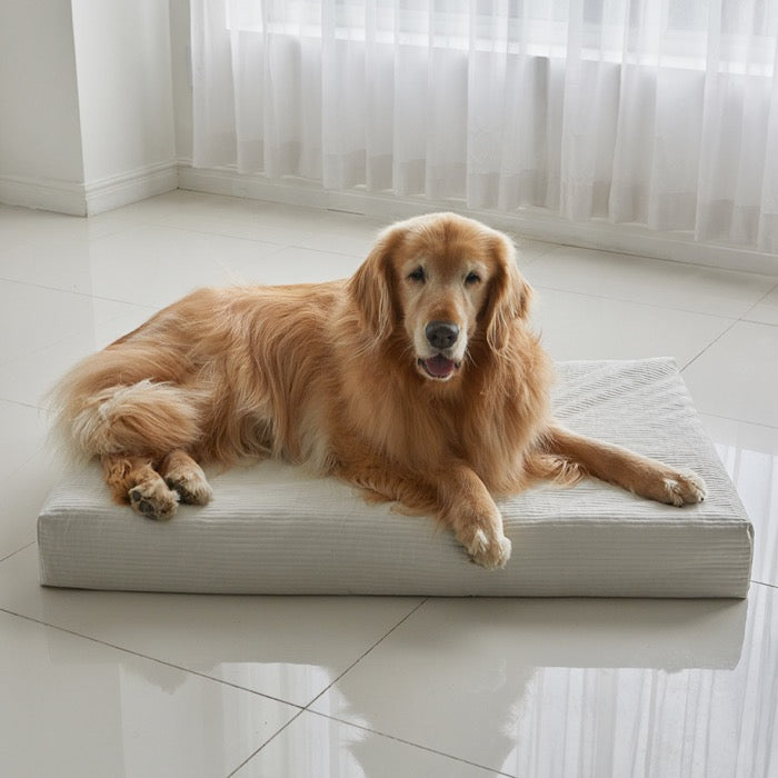 ※予約販売【BARBICHON】Allergy care topper mat（Ivory）L size Big Dog