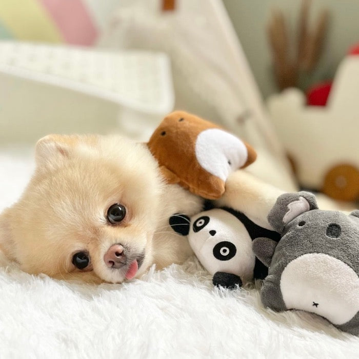 即納【Hey Cuzzies】Mini Snackz - Jamie the Panda Dog Toy