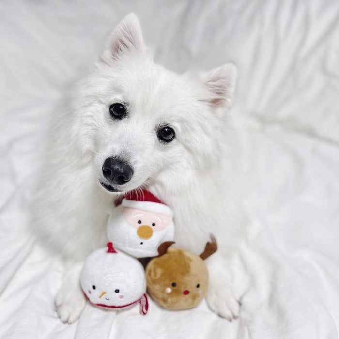 ※予約販売【Hey Cuzzies】Beary Christmas Mochi Dog Toy