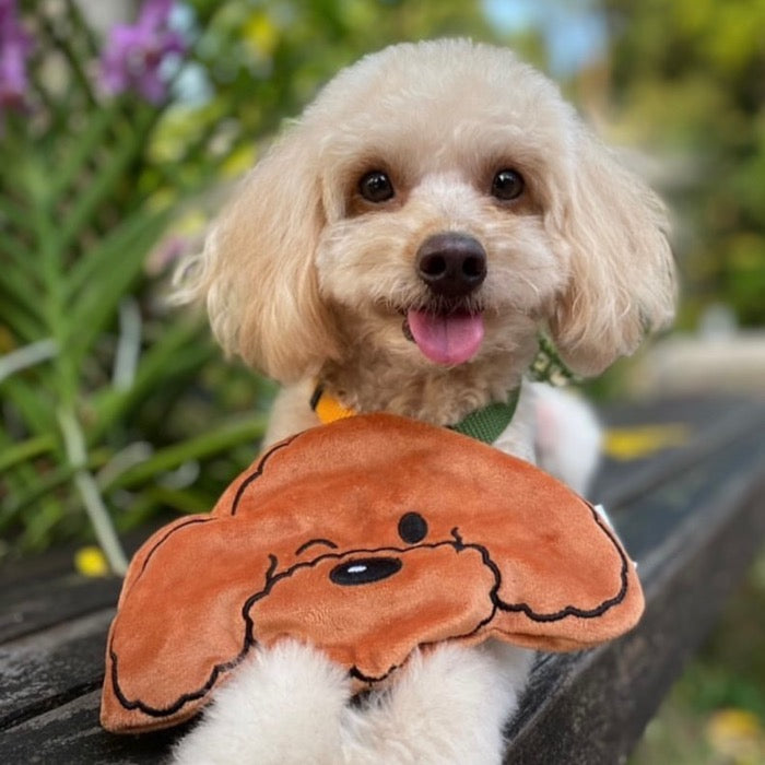 ※予約販売【Hey Cuzzies】No-Stuffing Poodle Dog Toy