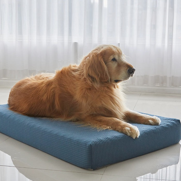 ※予約販売【BARBICHON】Allergy care topper mat（Navy）L size Big Dog【Pillow Set】