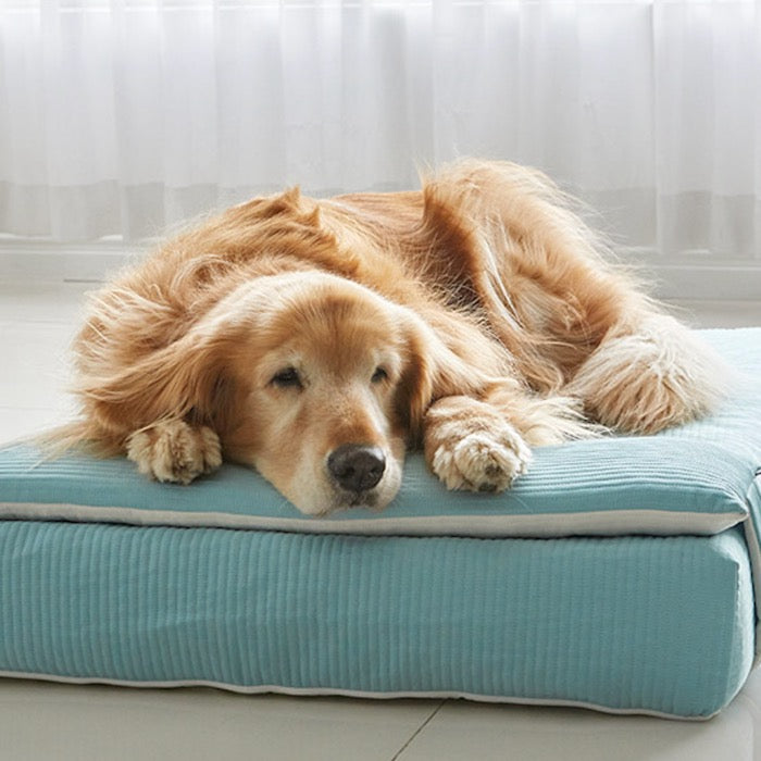 ※予約販売【BARBICHON】Allergy care topper mat（Mint）L size Big Dog【Pillow Set】