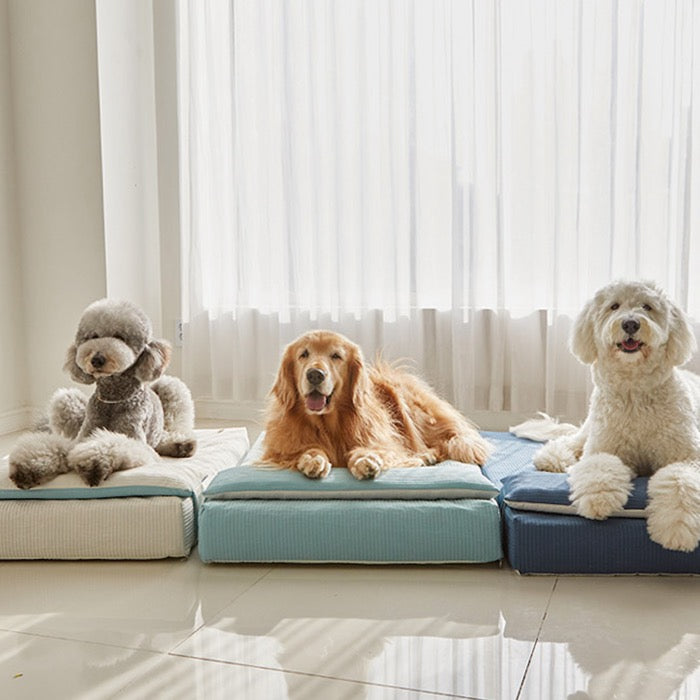 ※予約販売【BARBICHON】Allergy care topper mat（Ivory）L size Big Dog【Pillow Set(Ivory/Mint)】