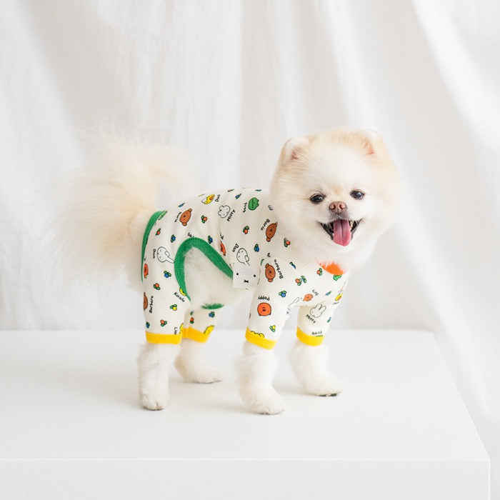 海外犬服 高品質なインポートのドッグウェア通販 