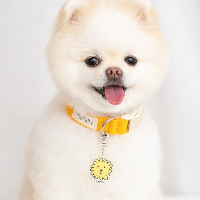 海外犬服 高品質なインポートのドッグウェア通販 