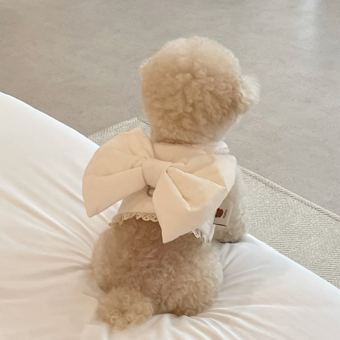 海外犬服 高品質なインポートのドッグウェア通販 