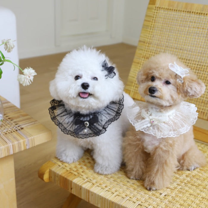 海外犬服 高品質なインポートのドッグウェア通販 