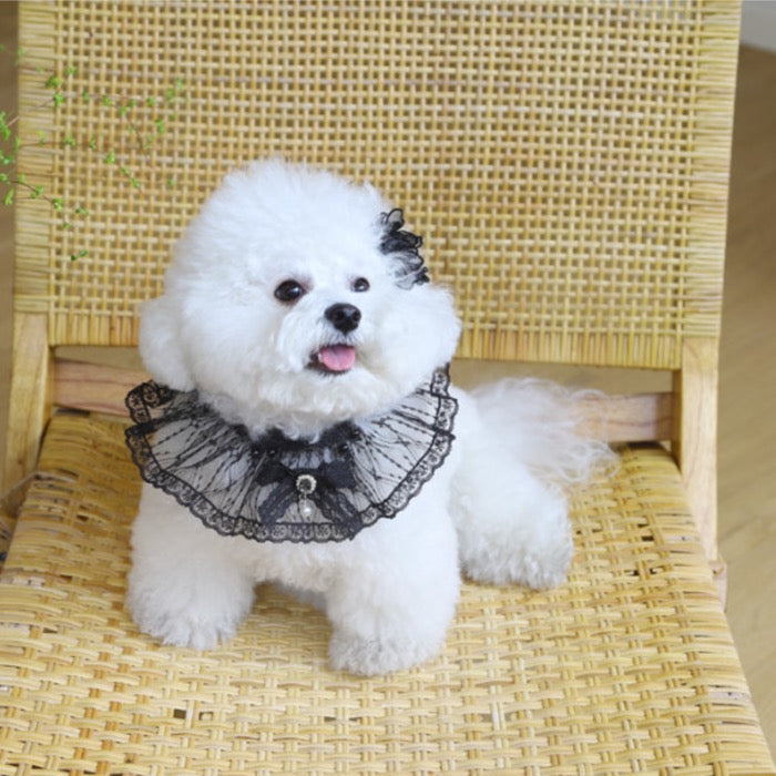 海外犬服 高品質なインポートのドッグウェア通販 