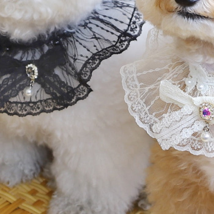 海外犬服 高品質なインポートのドッグウェア通販 