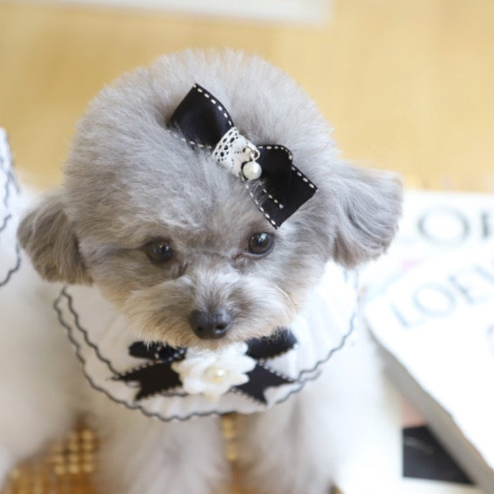 海外犬服 高品質なインポートのドッグウェア通販 