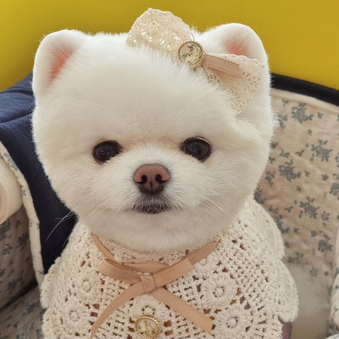 海外犬服 高品質なインポートのドッグウェア通販 