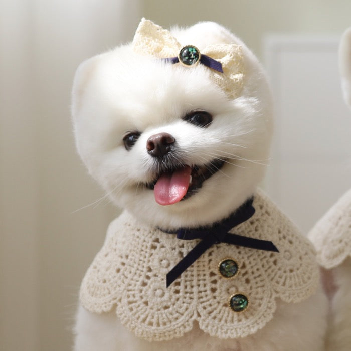 海外犬服 高品質なインポートのドッグウェア通販 