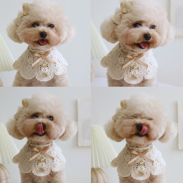 G.G. 犬服 クリーム色 リブ編み G.G. 犬服 クリーム色 リブ編み - メルカリ