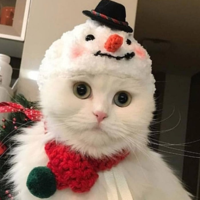 ※予約販売【Pets&Me】雪だるま帽子