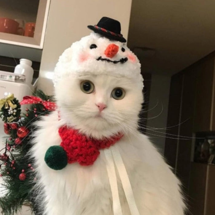 ※予約販売【Pets&Me】雪だるま帽子