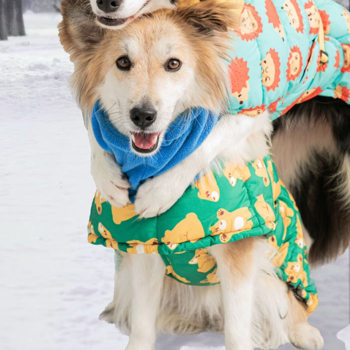 海外犬服 高品質なインポートのドッグウェア通販 