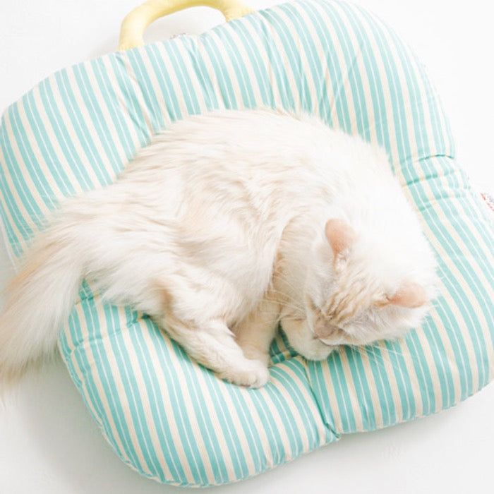 ※予約販売【BITE ME】Cat Cushion