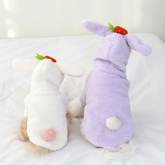 ※予約販売【ITS DOG】Carrot Bunny Hood Jumper