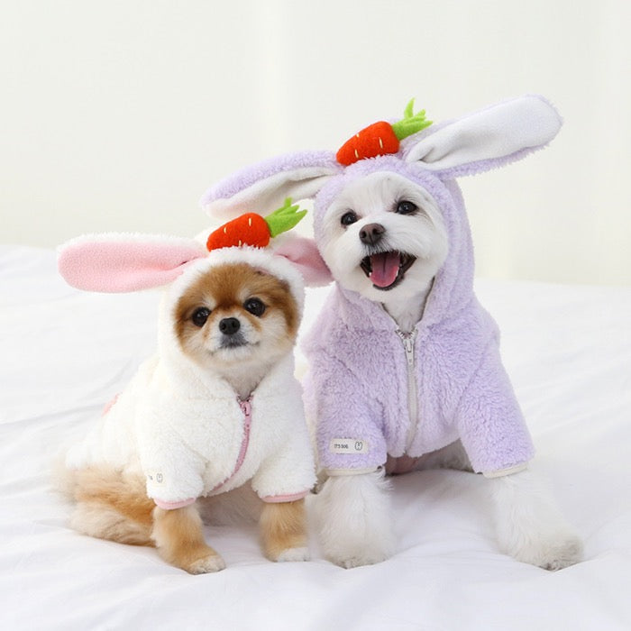 ※予約販売【ITS DOG】Carrot Bunny Hood Jumper