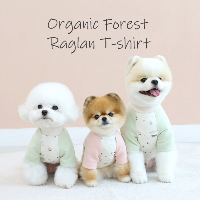 ※予約販売【ITS DOG】Organic Forest Raglan T-shirt