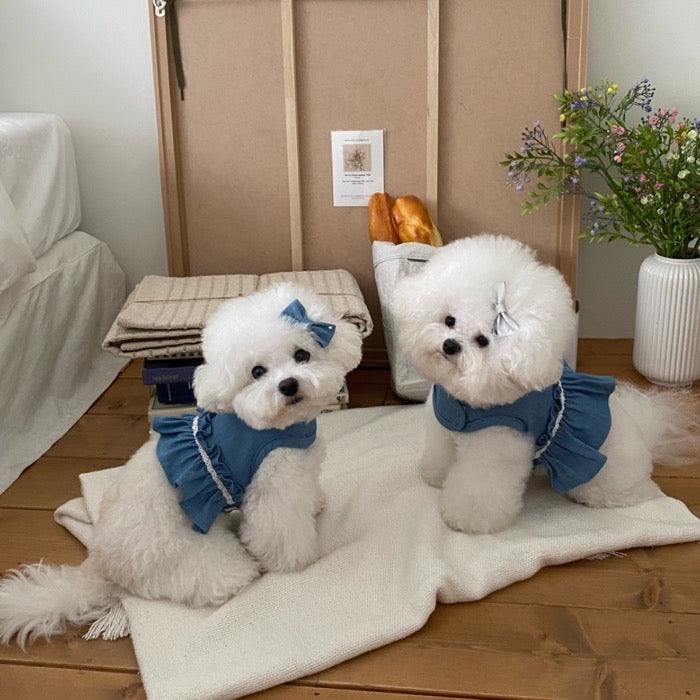 海外犬服 高品質なインポートのドッグウェア通販 