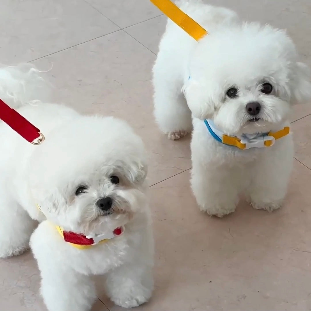 ※予約販売【ITS DOG】Disney Cool harness