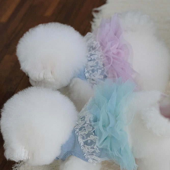 即納【BeBe Breath】Essential Harness（Denim）Leash Set｜犬用ハーネス