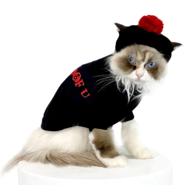 ※予約販売【MOSHIQA】I Woof U Cat Sweater