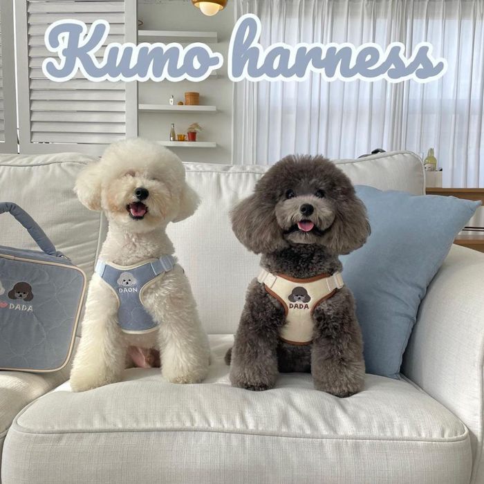 ※予約販売【ol1dog】うちの子Kumo harness