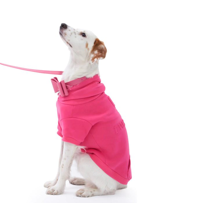 Moshiqa モシカ　犬用バッグ Moshiqa（モシカ） – URBAN DOG TOKYO