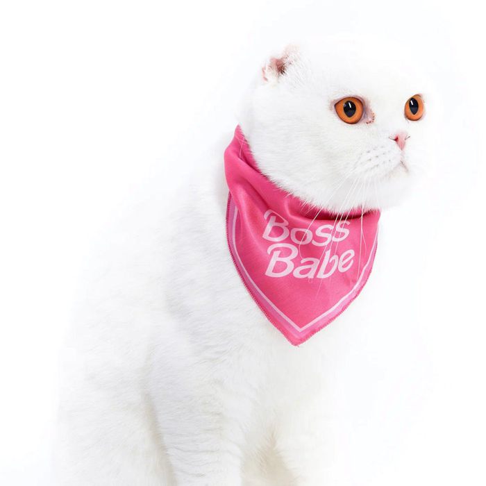 ※予約販売【MOSHIQA】Paris Collection Boss Babe Cat Bandana