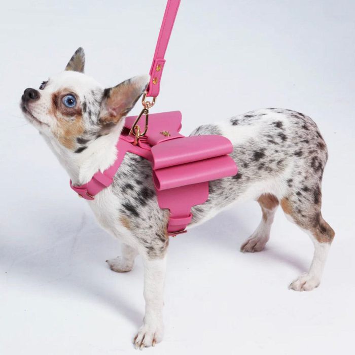 ※予約販売【MOSHIQA】Paris Collection Metapink Bow Dog Harness
