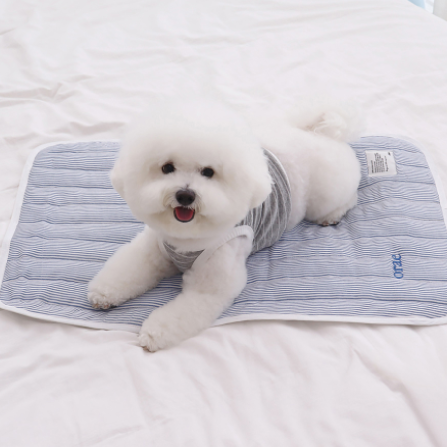 ※予約販売【Chiot】Cool mat with embroidered name（Blue）