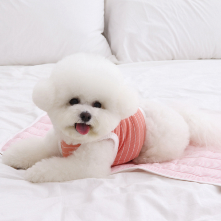※予約販売【Chiot】Cool mat with embroidered name（Baby Pink）
