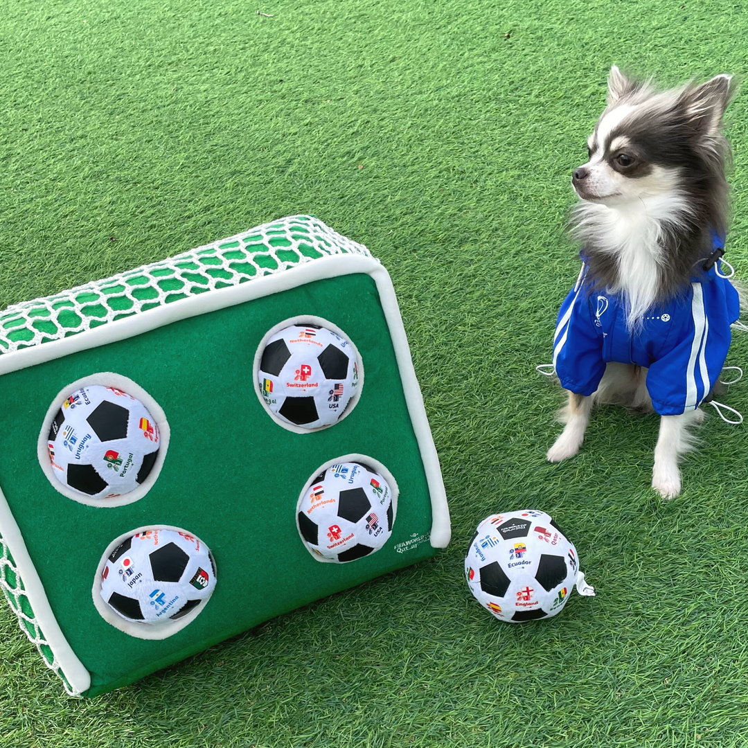 即納【FIFA WORLD CUP QATAR 2022™️】FIFA dog nosework goal toy