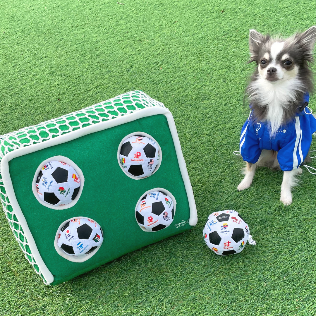 即納【FIFA WORLD CUP QATAR 2022™️】FIFA dog wind breaker（Blue）