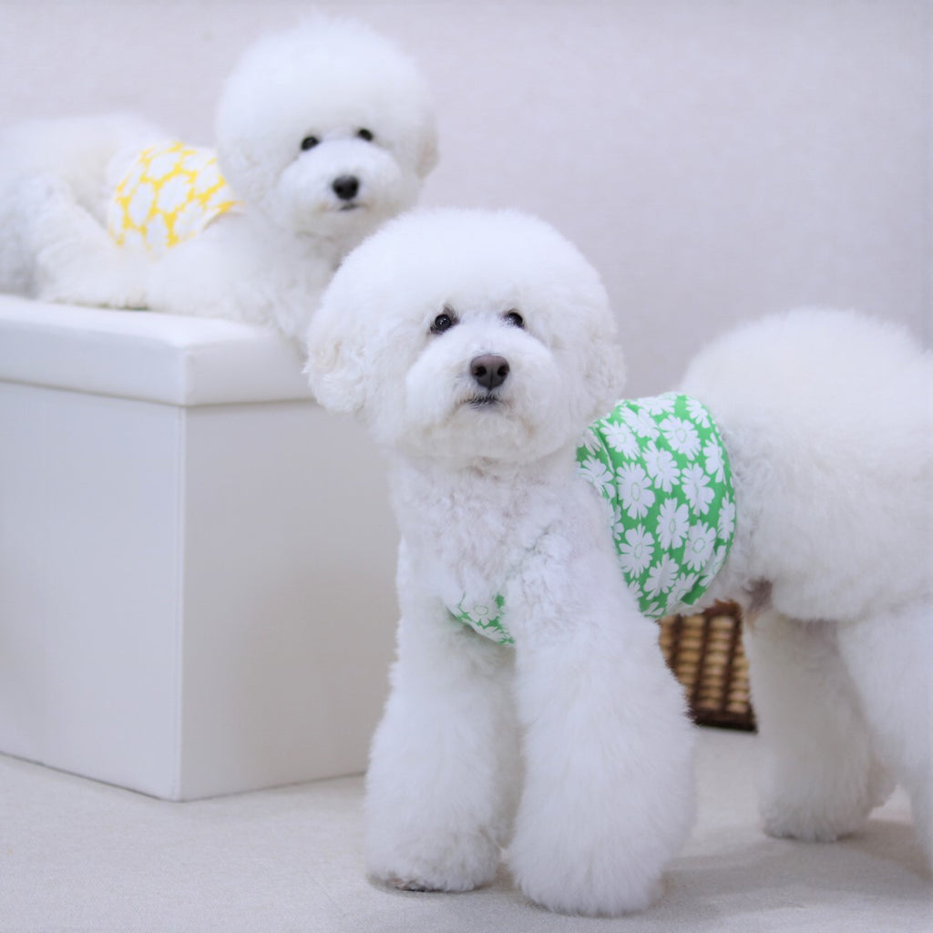 ハンドメイド犬服オーダー パピーおパンツカット用 ¥1,600 / 1着 - ペット