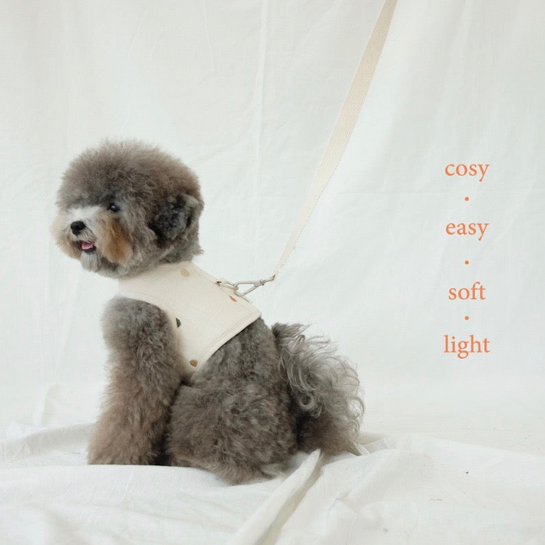 即納【cosy corner】Raw Cotton Leash