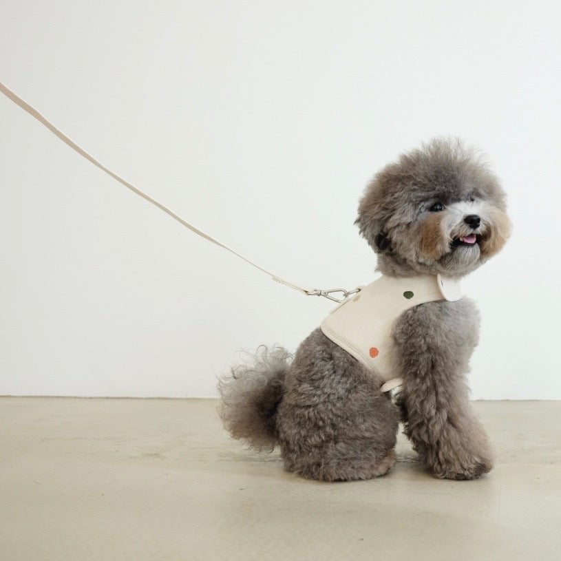 即納【cosy corner】Raw Cotton Leash