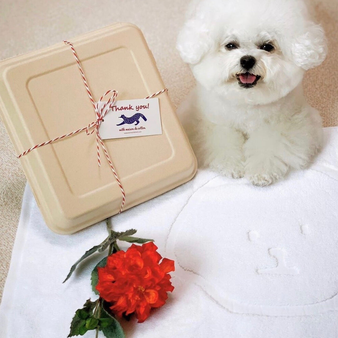 ※予約販売【BM WORLD】プレミアムホテル犬バスマット