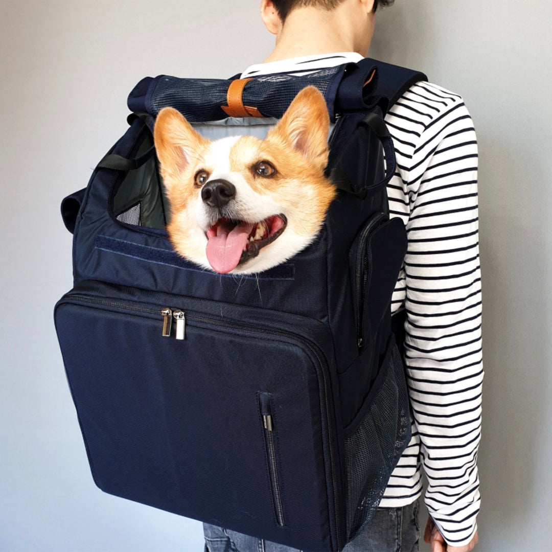 ※予約販売【INSIDE DOG & CAT】Inside L Backpack1（グレー/イエロー）