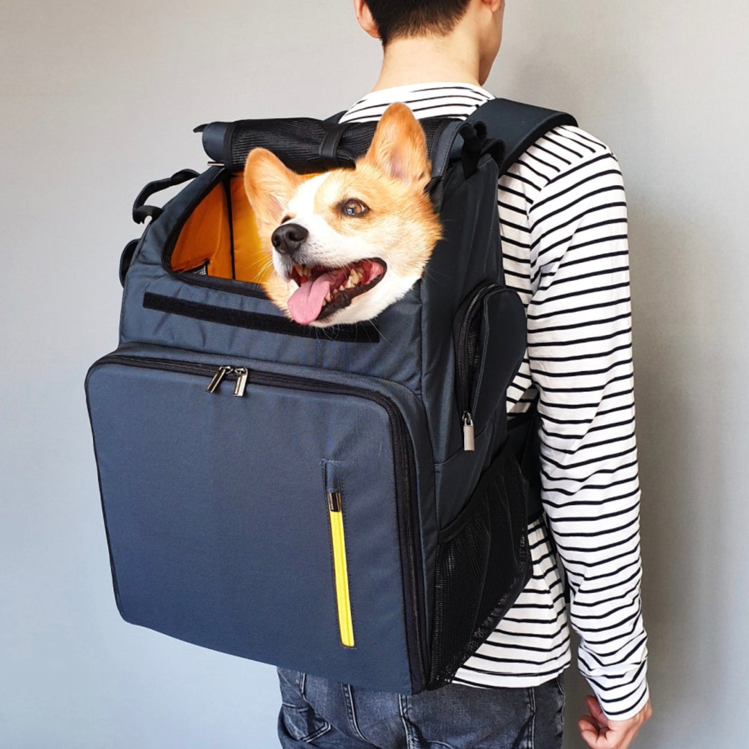 ※予約販売【INSIDE DOG & CAT】Inside L Backpack1（グレー/ブラック）