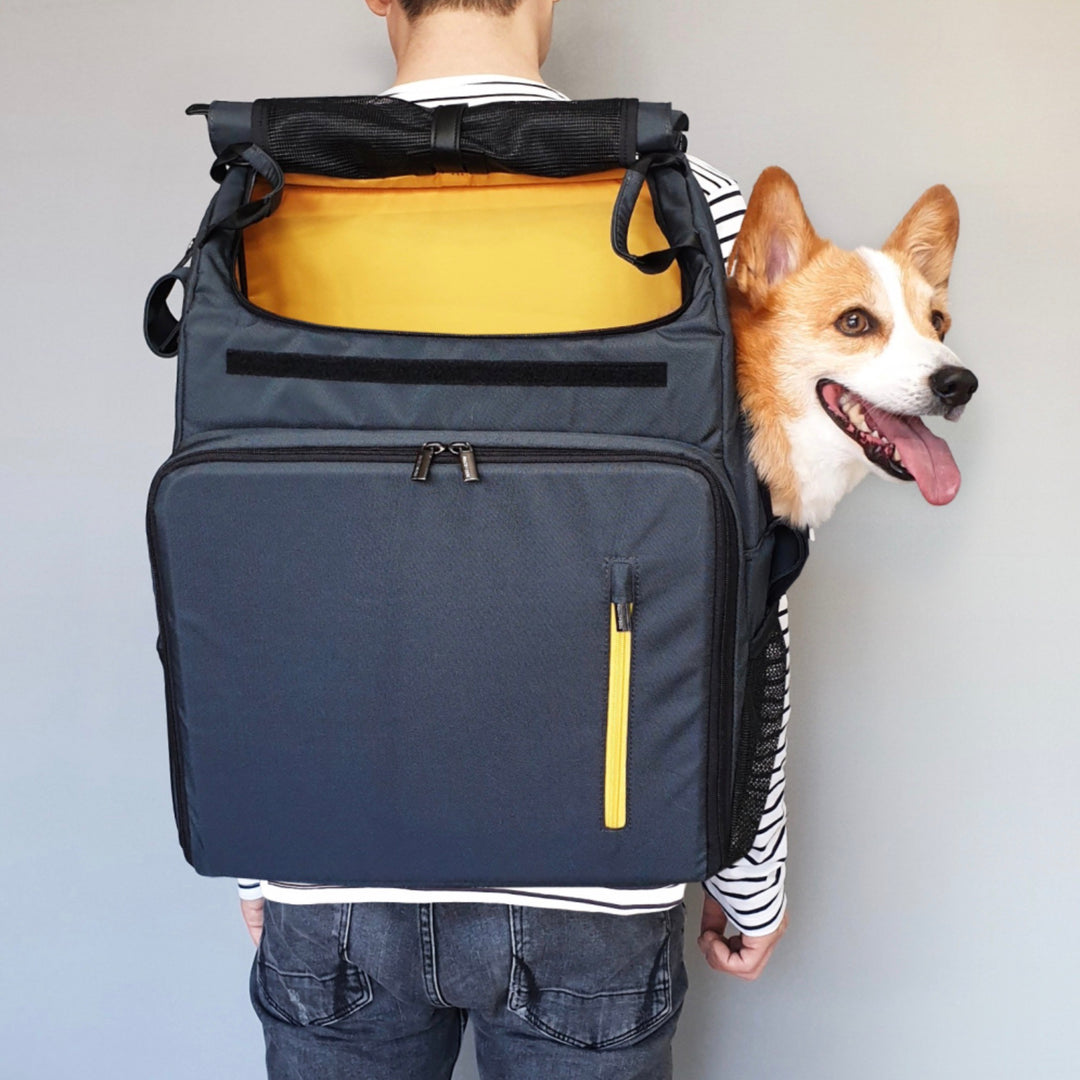 ※予約販売【INSIDE DOG & CAT】Inside L Backpack1（グレー/イエロー）